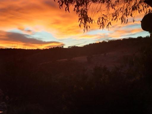 Highroost Bed & Breakfast Accomodation - Rural Escape Red Creek Εξωτερικό φωτογραφία