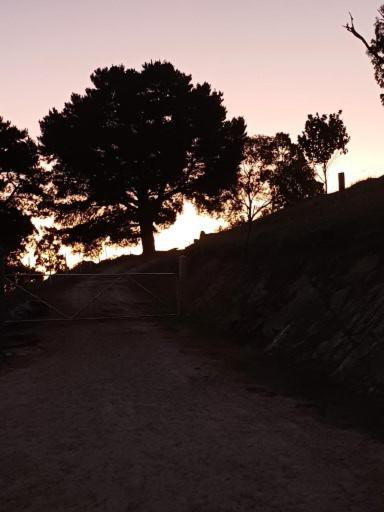 Highroost Bed & Breakfast Accomodation - Rural Escape Red Creek Εξωτερικό φωτογραφία
